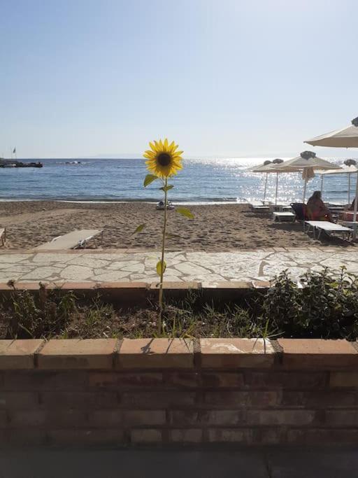 Stoupa Beachside Retro Apartment Bagian luar foto